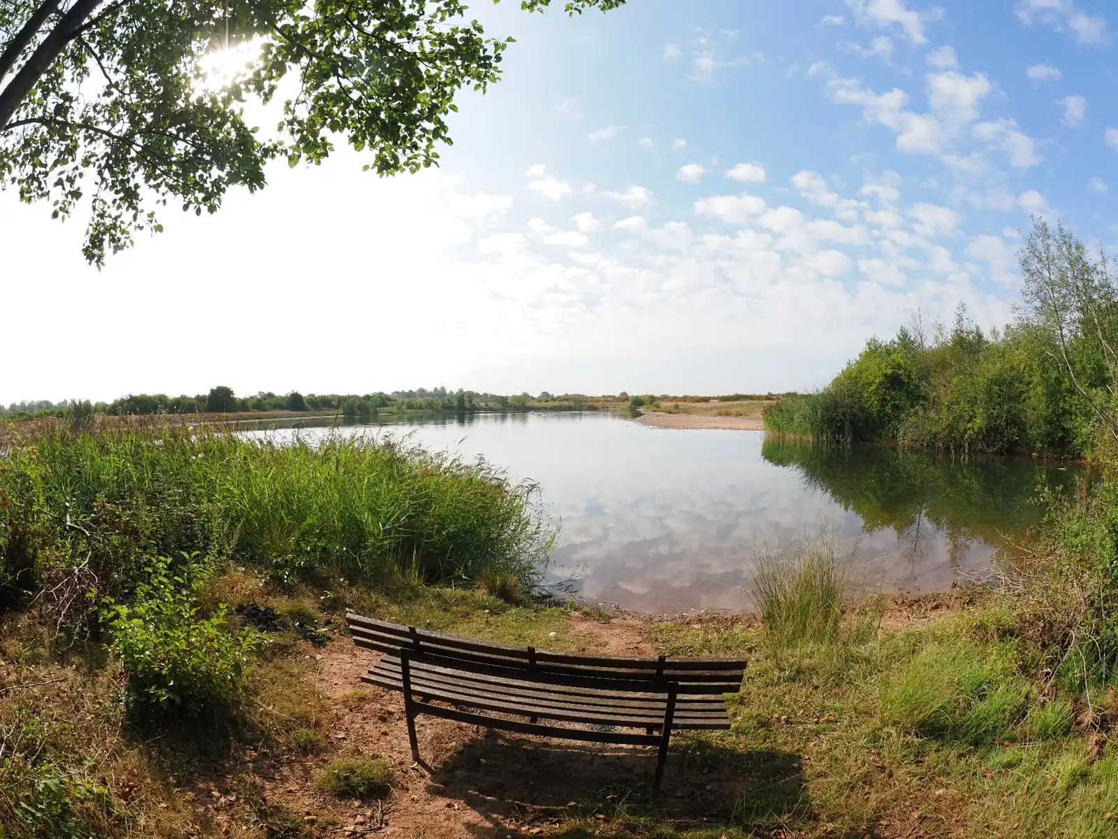 A bench above the lake on a late summer morning