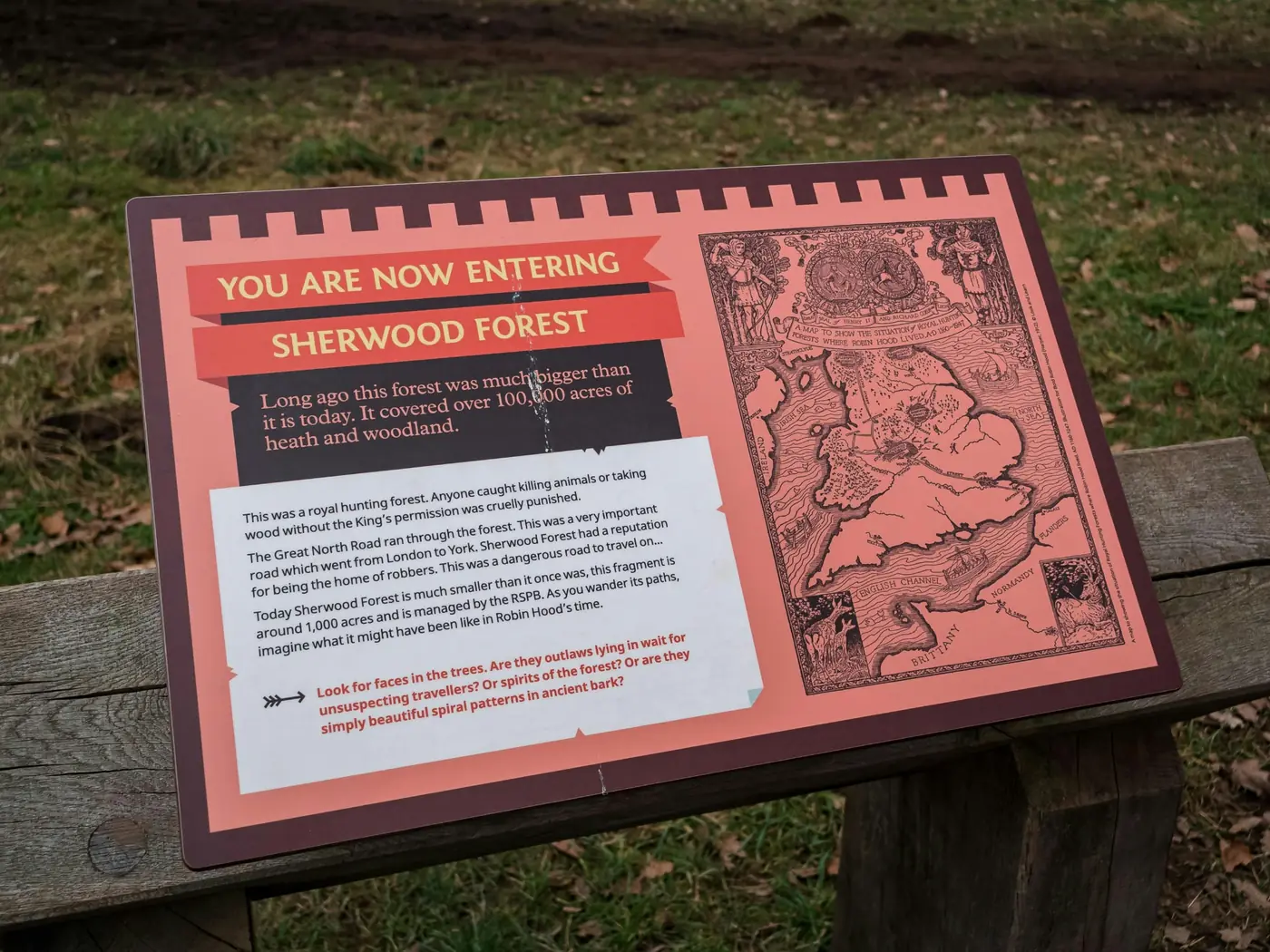 Sherwood Forest