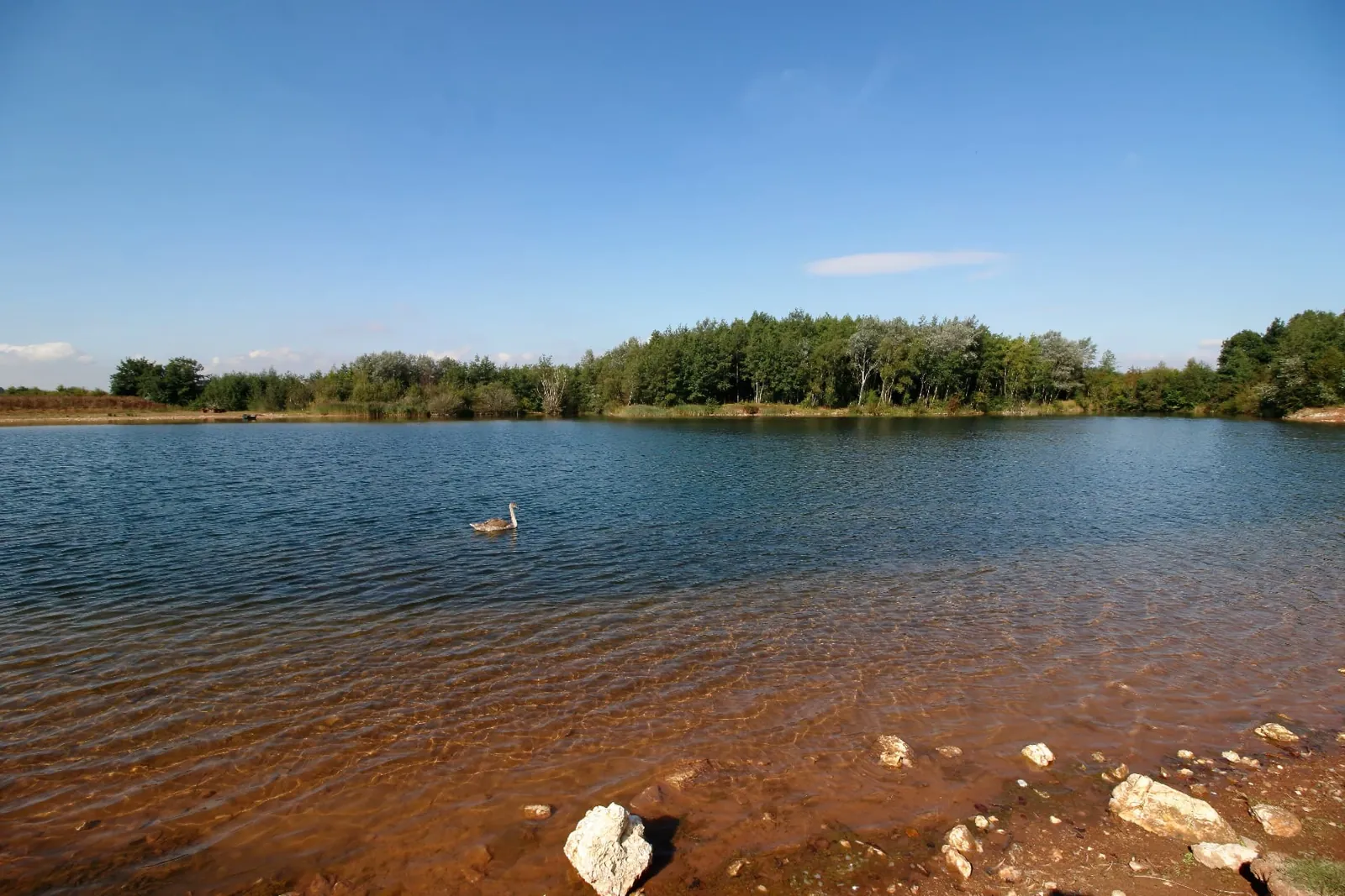 Four lakes, eighty acres of water